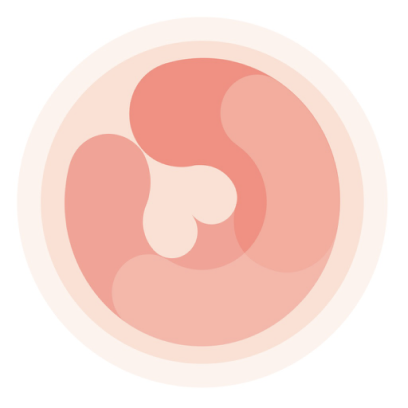 Pregnancy Tracker – HiMommy